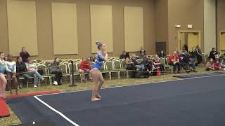 Audrey Rapaduski Legacy Elite  L10 Floor 2019 JPAC Midwest Showdown [upl. by Ailisec]