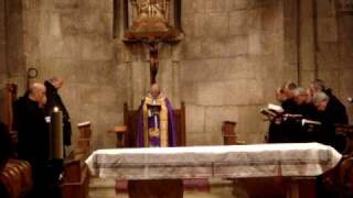 Cantos Gregorianos en el Monasterio de San Salvador de Leyre [upl. by Yuria]