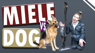 Miele Triflex HX1 Cat amp Dog 3in1 cordless stick vacuum review from a GERMAN SHEPHERD owner  Miele [upl. by Ireva]