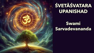 Śvetāśvatara Upanishad 316318 Swami Sarvadevananda [upl. by Tisdale833]