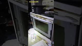 Whats it look like when a Section 8 Tenant moves out of Detroit  HoltonWiseTV Highlights [upl. by Chev]