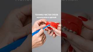 Секретная техника чистки зубов монопучком и щеткой [upl. by Ledairam]