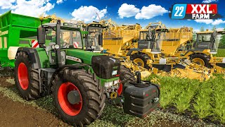 LS22 Beginn der XXLRübenernte  XXL Farm 2 1  FARMING SIMULATOR 22 [upl. by Brenton89]