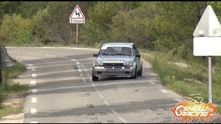 Rallye de la SainteBaume 2016 Show HD [upl. by Florin185]