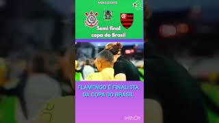 FLAMENGO NA FINAL DA COPA DO BRASIL [upl. by Ahsienaj319]