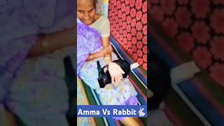 my new family member Mukku 🐇🐰funny shorts 😂 😂 trending minivlogs shorts short video [upl. by Hareehahs]