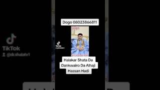 Dr Shata TV Halakar Hassan Hadi Da shata da Dankwairo [upl. by Romy]