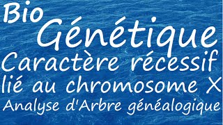 Caractère récessif lié au chromosome X [upl. by Nason]