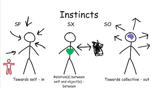 Enneagram Instincts Explained in 3 Minutes [upl. by Kizzee887]