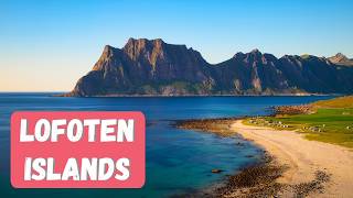 The Best Places to Visit in Lofoten Islands Norway in 4K  What to See in Lofoten in Summer [upl. by Rennerb]