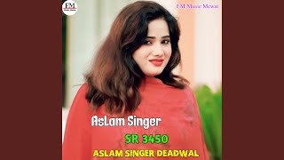 Aslam Singer SR 3450 [upl. by Ennad]