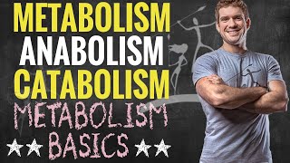 Metabolism Anabolism and Catabolism [upl. by Heyman]