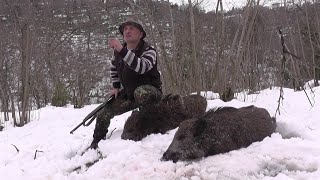 ÇOK BAŞARILI BİR AV ORGANİZASYONU  AN ORGANIZED WILD BOAR HUNT [upl. by Jollenta]