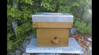 Napravi sam oplodnjak za matice  DIY bee queen mating nucs [upl. by Osnerol517]