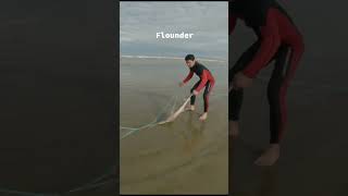 Flounder fishing fishingvideo fish flounderfishing flounder [upl. by Taryn]