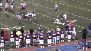 2014 RB Leonard Fournette Highlights from his sophomore season [upl. by Ahsar]