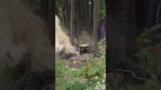 MEGA rock bouncer runs over tree and does burnout at Ride for a Cure 2024 rockbouncer offroad [upl. by Esahc68]