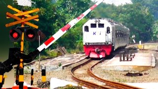 Railroad Crossing Indonesia  Perlintasan ALKMAAR Dengan Kereta Api FULL NGEBUT [upl. by Adieno304]