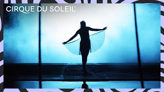 This Starts Today Cirque du Soleil Tour Stories  Episode 10  LUZIA Dreaming  Cirque du Soleil [upl. by Eizzo]