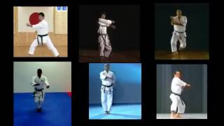 平安五段 松濤館 Heian Godan SHOTOKAN Karate quotHow your Kata agesquot [upl. by Hsaka]