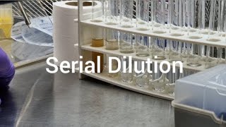 Serial Dilution  What is serial dilution  How to do it [upl. by Shing270]