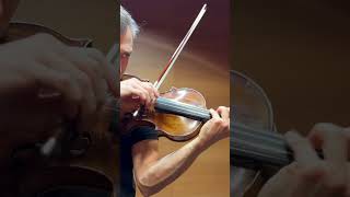 C PIERRAY 1709 Violin Test shorts violin test [upl. by Oilenroc]