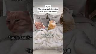 CAT MEMES 🐱The stages of sleeping with your boyfriend catmemes relatable relationship [upl. by Gentes]