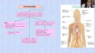 Síndromes Endocrinos [upl. by Wrennie]