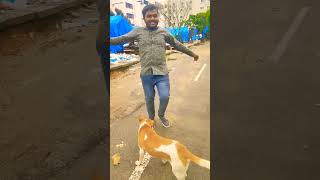 Patar Tiriyakhesari lal yadavshorts video viral 🌧️😍 [upl. by Adelaide]