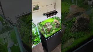 Beautiful Aquascapes AquariumGardensAquascaping [upl. by Baptiste]