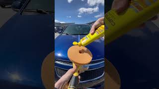 Why Detailers Still Use Carnauba Wax and Why You Should Too [upl. by Artema876]