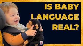 Is There Really Any Science Behind The Dunstan Baby Language  Science Baby [upl. by Sigvard626]