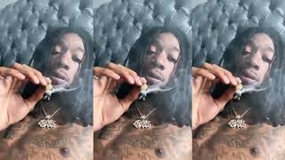 Wiz Khalifa  The Thrill TikTok Compilation [upl. by Ramled]