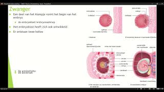 Klas 4 VWO Thema 2 Voortplanting amp seksualiteit basisstof 4 Zwanger deel 1 [upl. by Marijn]