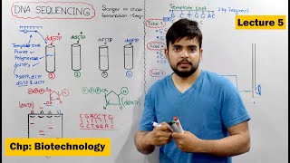 DNA Sequencing  Sanger or chain Termination Vs automated DNA sequencing  Video 5 [upl. by Petra]