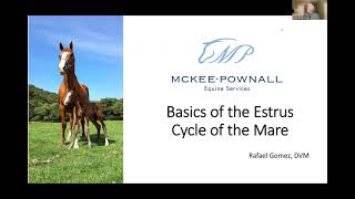 Dr Gomez Webinar Part 1 Basics of the Estrus Cycle [upl. by Garcon]