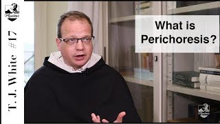 Thomas Joseph White 17 What is perichoresis I 42 5 [upl. by Auria339]