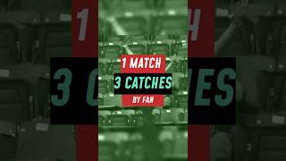 3 catches in 1 match by one fan 😱😱⚡⚡😱😱shorts viral mlb ytshorts [upl. by Borg]