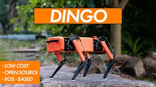 The Dingo  A Low Cost OpenSource Robot Quadruped [upl. by Nnep]