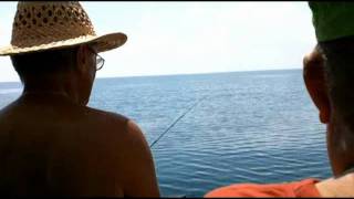 Pesca turistica allo sgombro Motonave Andrea Doria [upl. by Perron]