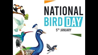 5th January National Bird Day observance  We need BIRDS for our Survival [upl. by Shipley]