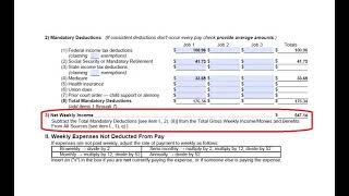 Self Represented Parties Information Series Filling Out and Filing a Financial Affidavit Short Form [upl. by Nnylg]