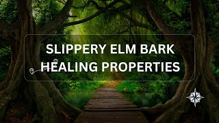 Slippery Elm For Diverticulitis [upl. by Hume249]