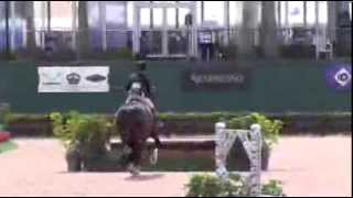 Video of ZERNIKE ridden by DEVON AUERBACH from ShowNet [upl. by Ayatnwahs]