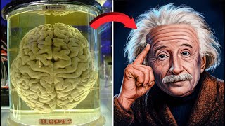 What Made Einsteins Brain Unique Ethan Epics [upl. by Ttevy]