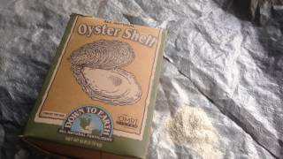 Oyster shell flour Why it is important in a plants growth and soil ph levels [upl. by Ammadis416]