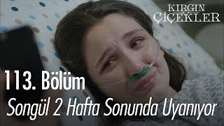 Songül 2 haftanın sonunda uyanıyor  Kırgın Çiçekler 113 Bölüm  Final [upl. by Nogras]