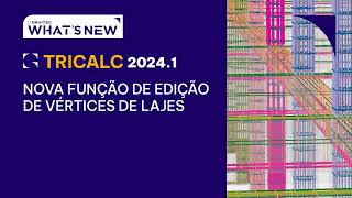 Graitec TRICALC 20241 Nova função de edição de vértices de lajes [upl. by Chor562]