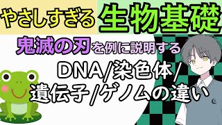 【生物生物基礎】DNA、染色体、遺伝子、ゲノムの違い【初心者でも分かる】めたもる高校生物 [upl. by Hootman]