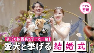 【結婚式密着】リングドッグも、披露宴も！愛犬と結婚式を最高に楽しむための全てお見せします♡ [upl. by Evelunn]